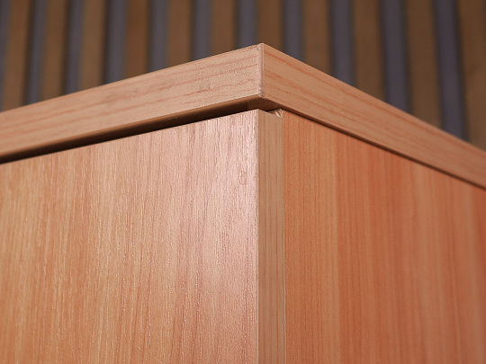 Шкаф для одежды ДСП Ольха Россия