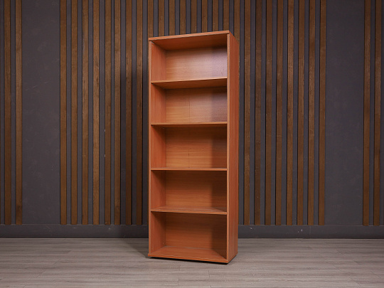 Шкаф-стеллаж для документов ДСП Ольха Россия