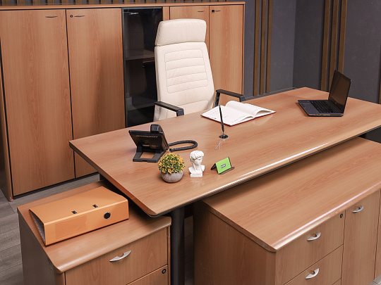 Кабинет руководителя ДСП Орех Россия