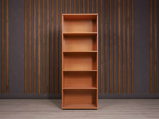 Шкаф-стеллаж для документов ДСП Ольха Россия