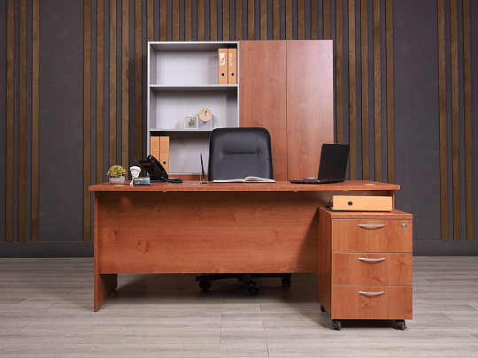 Кабинет руководителя ДСП Орех Россия