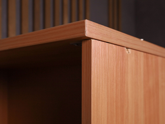 Шкаф для документов ДСП Ольха Россия