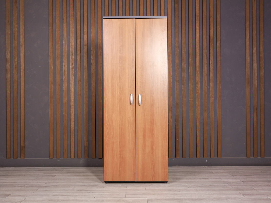 Шкаф для одежды ДСП Ольха Россия (25264-20065)