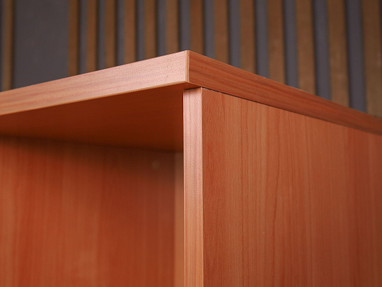 Шкаф для документов ДСП Ольха Россия