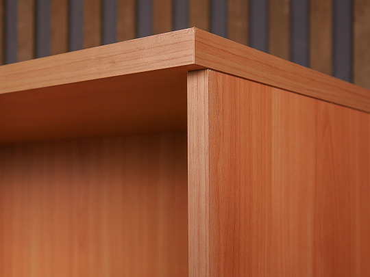 Шкаф для документов ДСП Ольха Россия