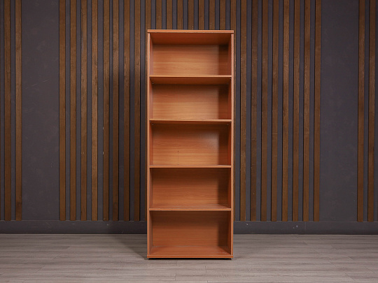 Шкаф-стеллаж для документов ДСП Ольха Россия