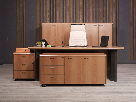 Кабинет руководителя ДСП Орех Россия