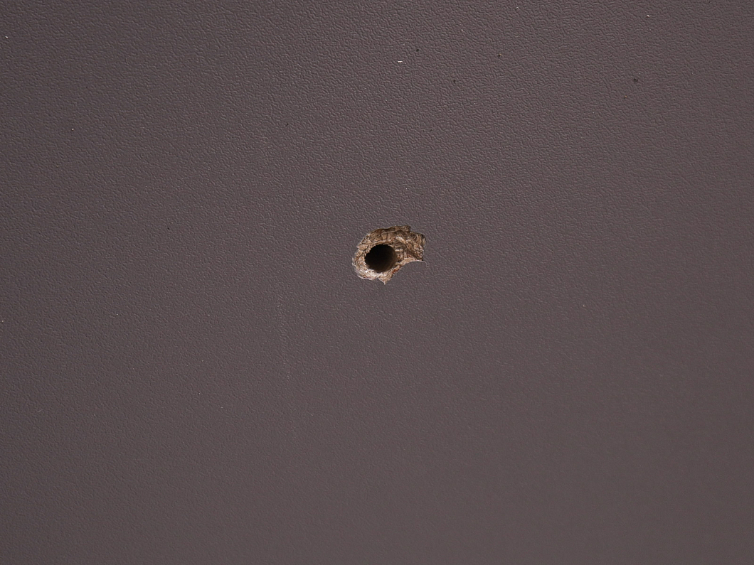 Тумба под оргтехнику ДСП Орех Россия (24351-20045)