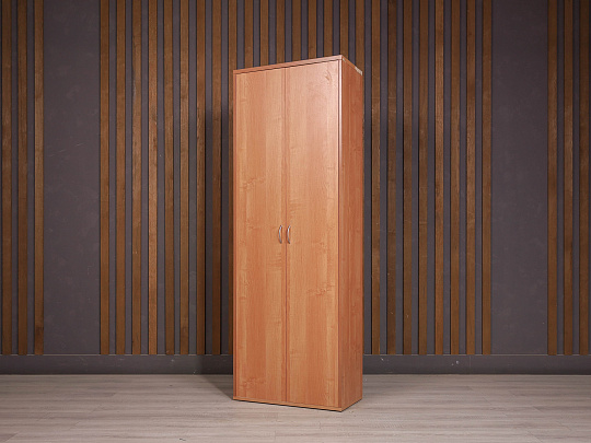 Шкаф для документов ДСП Ольха Россия