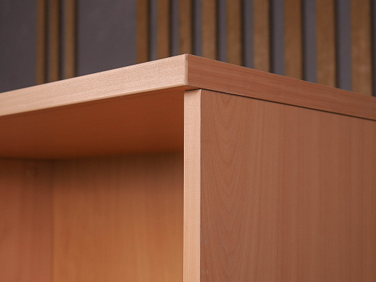 Шкаф для документов ДСП Бук Россия