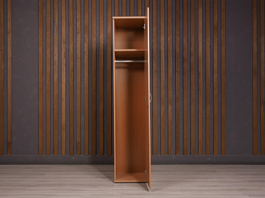 Шкаф для одежды ДСП Бук Россия