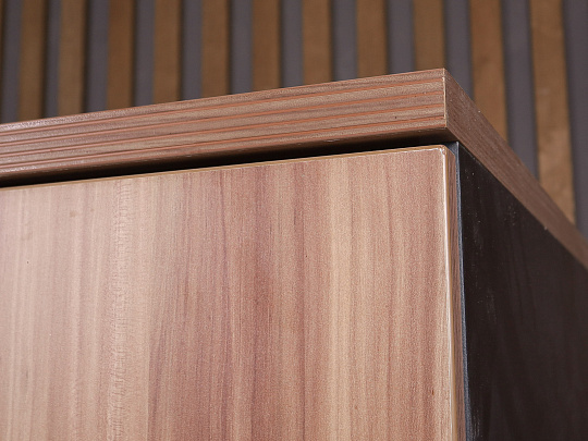 Шкаф для одежды Berlin ДСП Мерано Россия