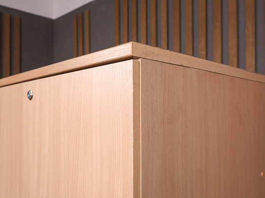 Шкаф для одежды ДСП Клен Россия