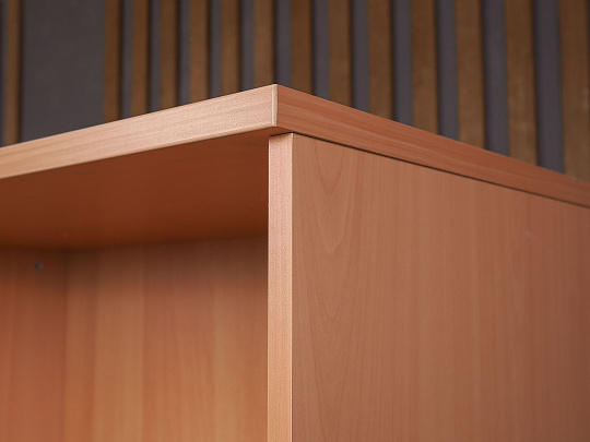 Шкаф-стеллаж для документов ДСП Бук Россия