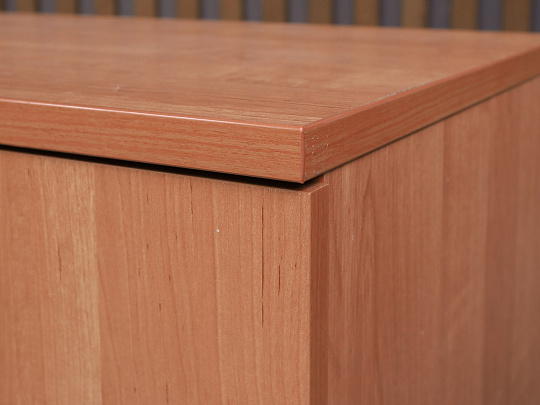 Шкаф для документов ДСП Ольха Россия