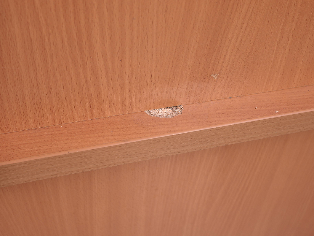 Ресепшн ДСП Клен Россия (2657-10075)