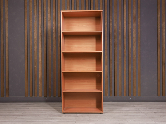 Шкаф-стеллаж для документов ДСП Ольха Россия