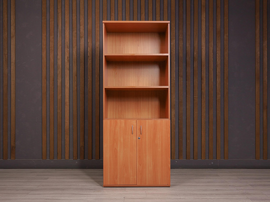 Шкаф для документов ДСП Ольха Россия