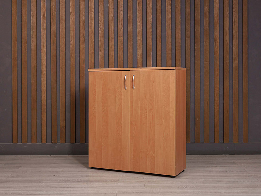 Шкаф для документов ДСП Ольха Россия