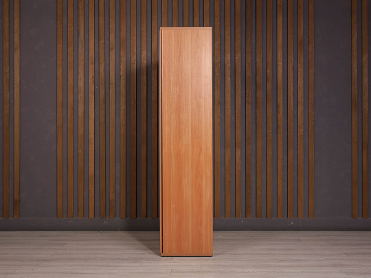 Шкаф для одежды ДСП Ольха Россия