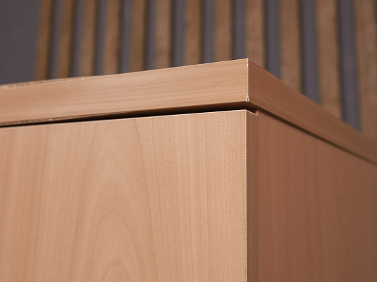 Шкаф для документов ДСП Бук Россия