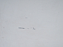 Доска магнитно - маркерная Металл Белый Россия (7611-16103)