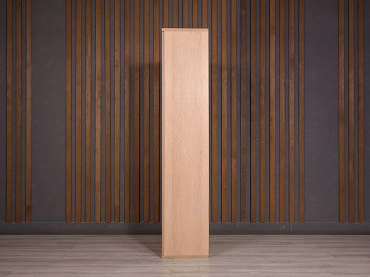 Шкаф для одежды ДСП Ясень шимо Россия