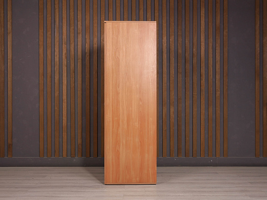 Шкаф для одежды ДСП Ольха Россия