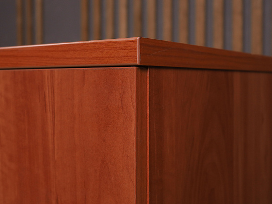 Шкаф для документов ДСП Вишня Россия