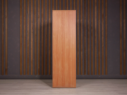 Шкаф для одежды ДСП Ольха Россия