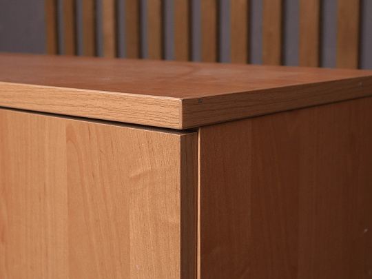 Шкаф для документов ДСП Ольха Россия