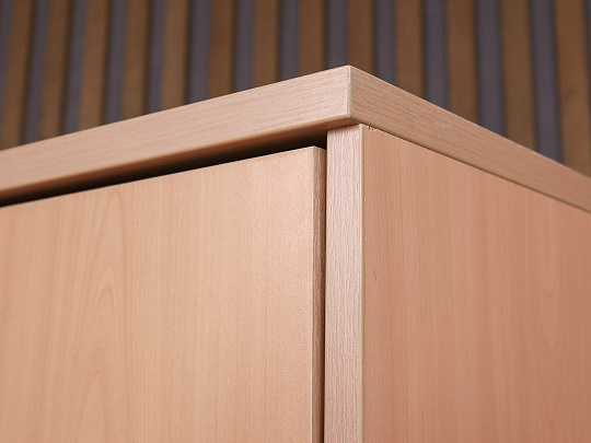 Шкаф для одежды ДСП Бук Россия