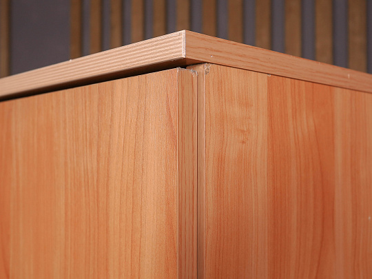 Шкаф для одежды ДСП Ольха Россия