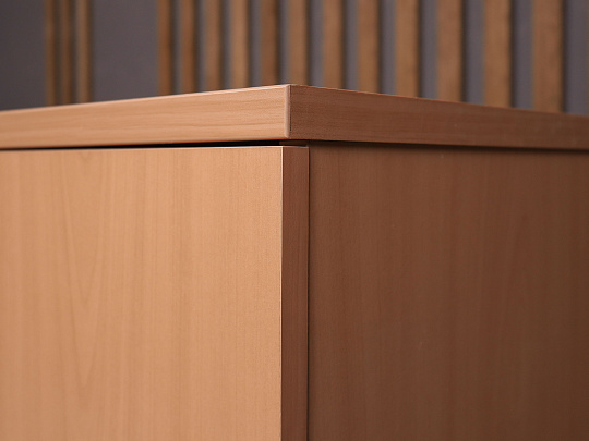 Шкаф для документов ДСП Бук Россия