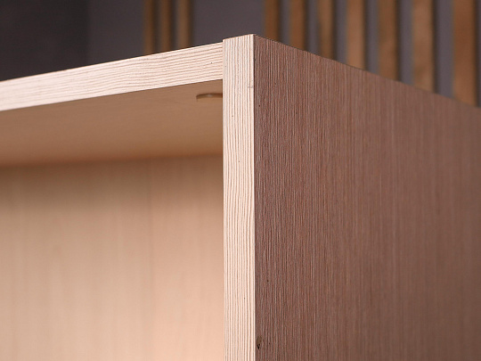 Шкаф-стеллаж для документов ДСП Клен Россия