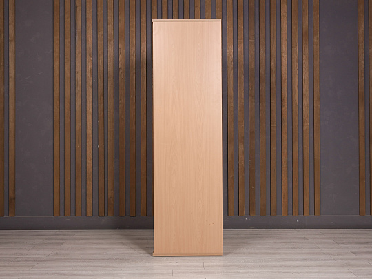 Шкаф для одежды ДСП Бук Россия