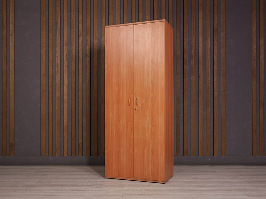 Шкаф для одежды ДСП Ольха Россия