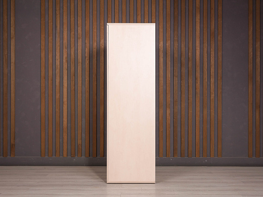 Шкаф для одежды ДСП Дуб Россия