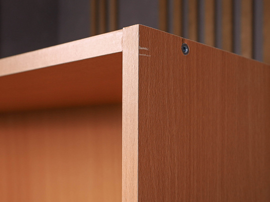 Шкаф для документов ДСП Клен Россия