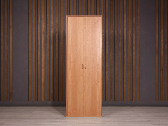 Шкаф для документов ДСП Ольха Россия