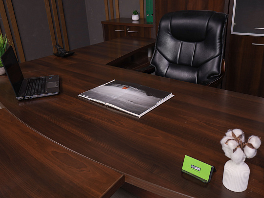 Кабинет руководителя ДСП Орех Россия