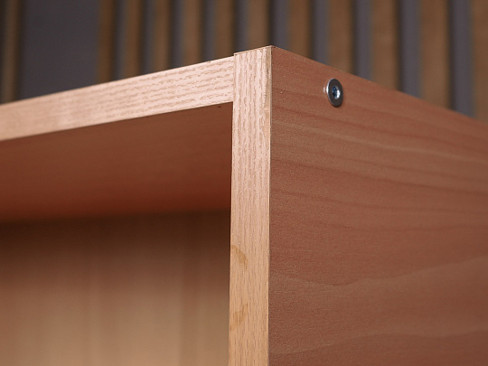 Шкаф для документов ДСП Ольха Россия