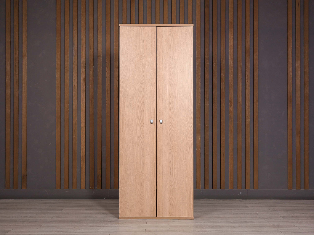 Шкаф для одежды ДСП Ясень шимо Россия (252742-20085)