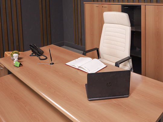 Кабинет руководителя ДСП Орех Россия