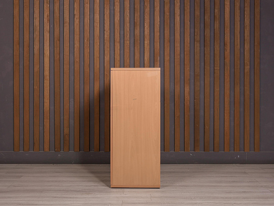 Шкаф для документов ДСП Бук Россия