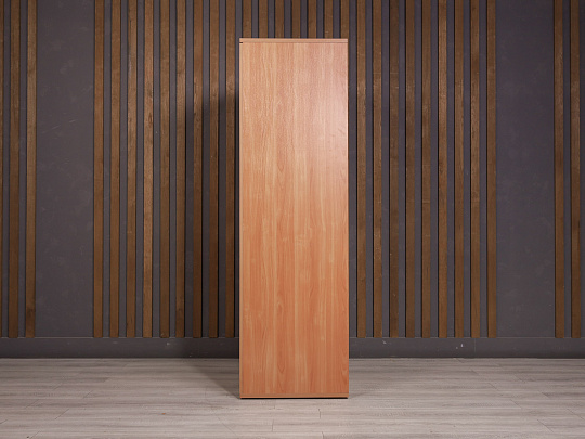 Шкаф для одежды ДСП Ольха Россия