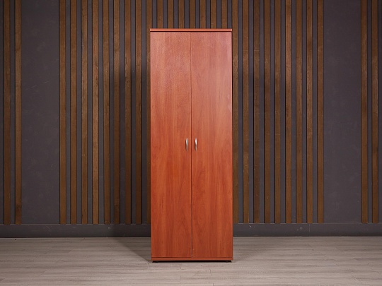 Шкаф для одежды ДСП Вишня Россия