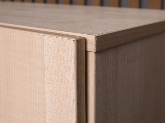 Шкаф-стеллаж для документов ДСП Дуб Россия