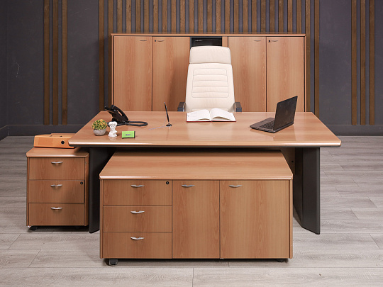 Кабинет руководителя ДСП Орех Россия