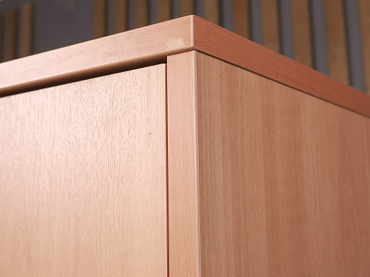 Шкаф для одежды ДСП Бук Россия